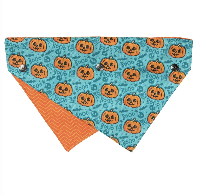 - Pet tear stain cleaning wipesFuzzyard Halloween Bandana - Jack Jack Jackie Lantern - Teal M/L