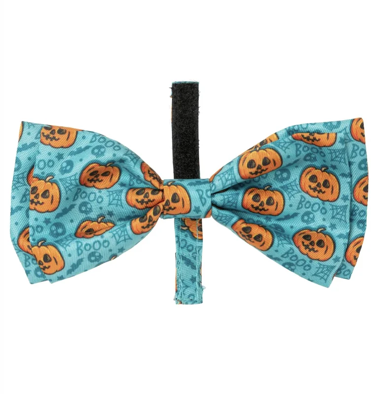 - ​​Christmas pet Christmas clothingFuzzyard Halloween Bowtie - Jack Jack Jackie Lantern - Teal L