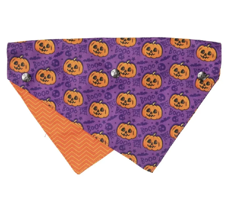 - Cat hair ball removal and hair removal creamFuzzyard Halloween Bandana - Jack Jack Jackie Lantern - Purple S/M