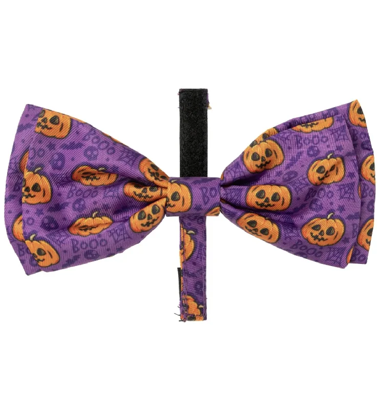 - Winter dog thick down jacketFuzzyard Halloween Bowtie - Jack Jack Jackie Lantern - Purple S