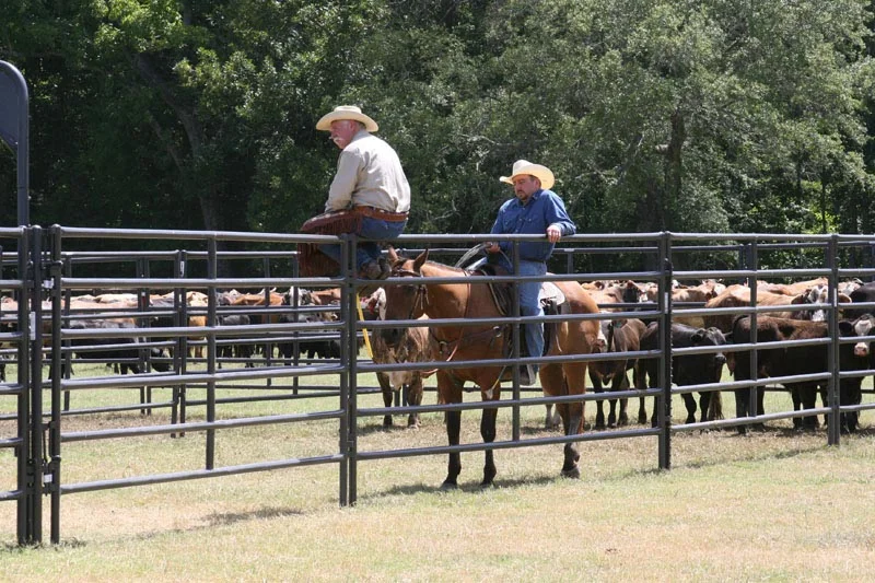 Pet ProductsRough Stock Arena Panel, 12ft