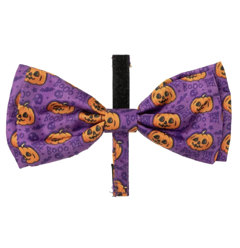 - Teething and chewing toys for puppiesFuzzyard Halloween Bowtie - Jack Jack Jackie Lantern - Purple L