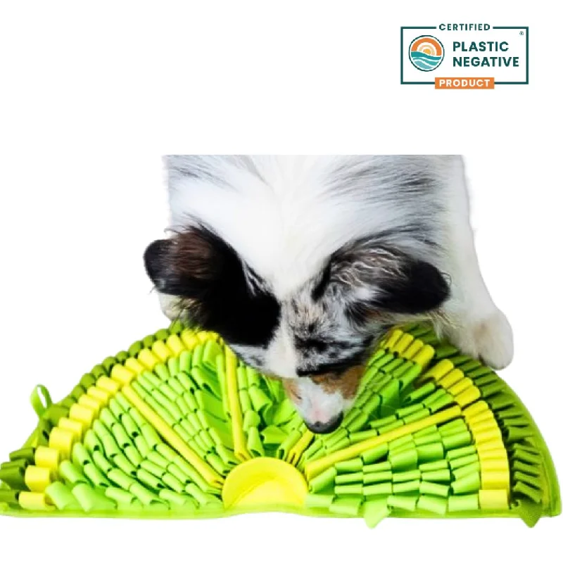 - Custom pet birthday cakePawzNDogz | Zesty Lime™ Snuffle Mat - Challenge Level 2