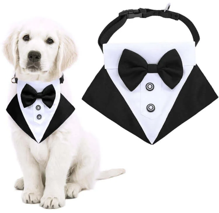 Classification by brand or style:KUTKUT Formal Dog Tux Bandana | Dog Wedding Bandana, Adjustable Dog Bowtie Collar Bandana, Adjustable Neckerchief for Small Dogs & Cats.