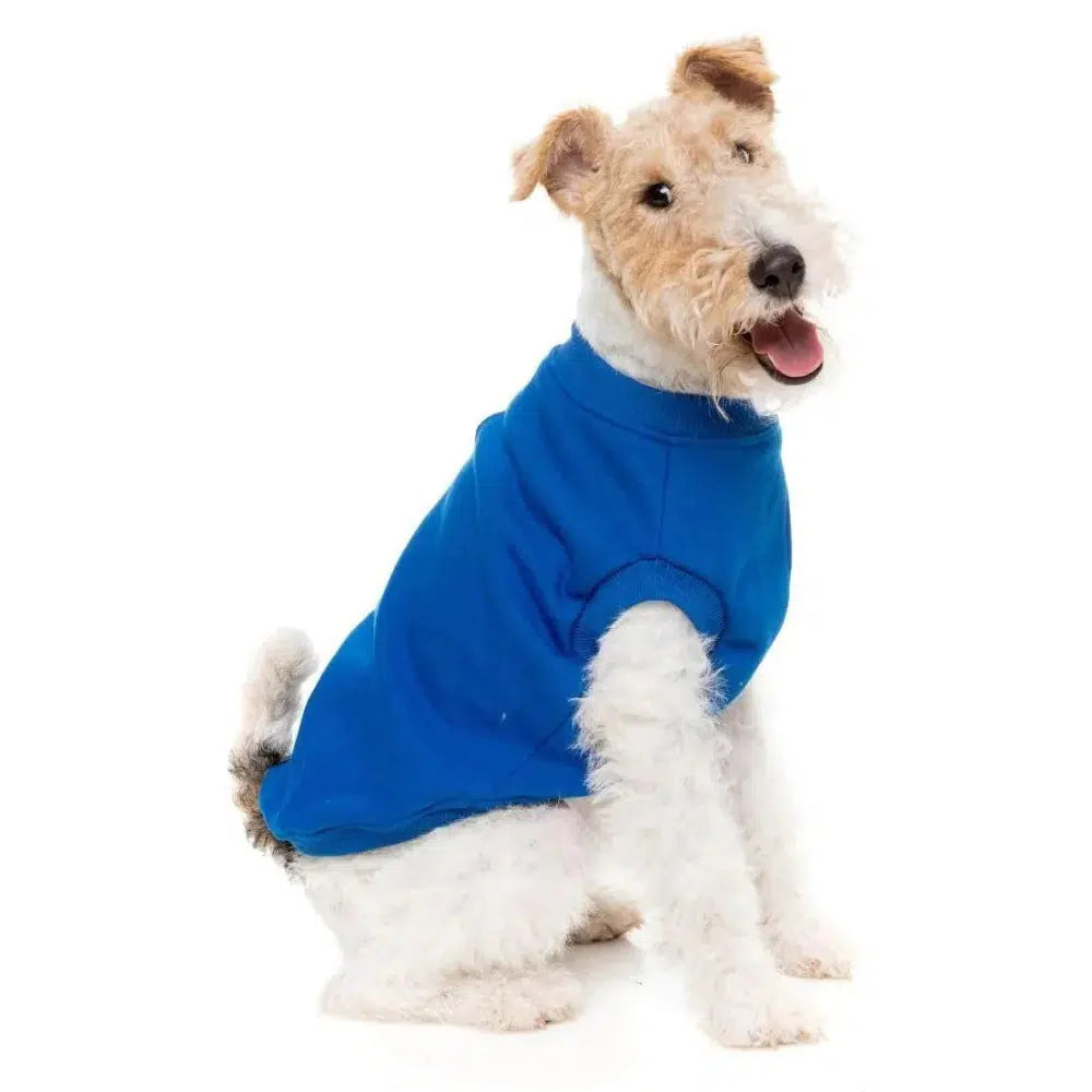 - Remote interactive pet feederFuzzYard | Allday Sweater - Blue