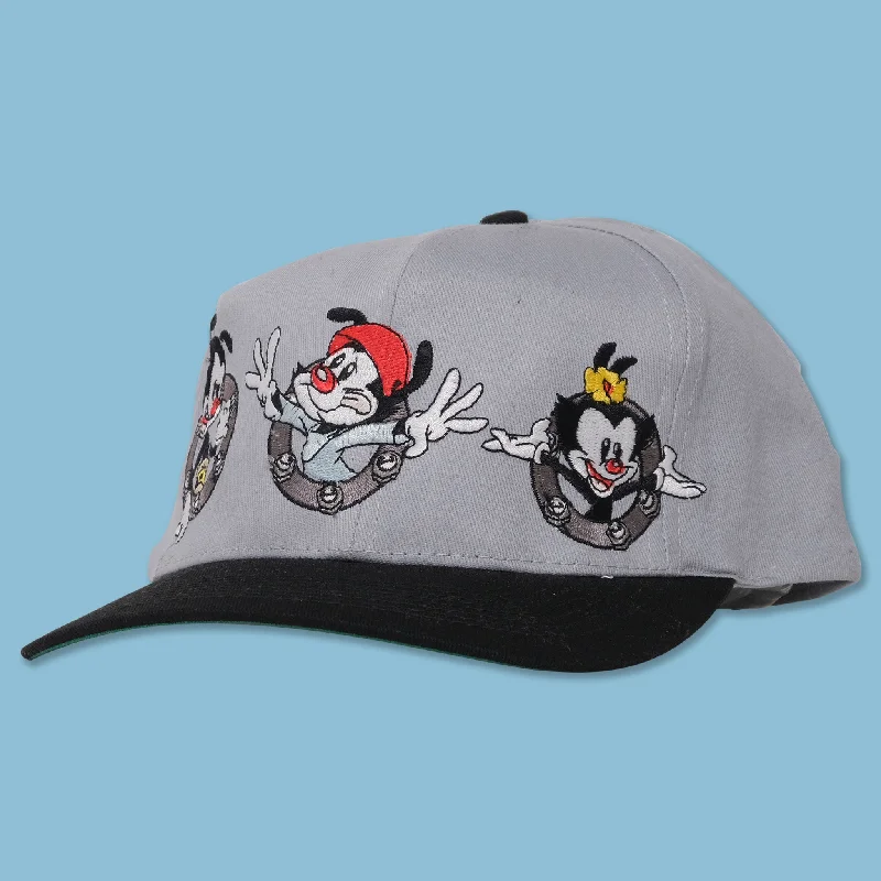 - Custom pet birthday cakeVintage DS Animaniacs Snapback