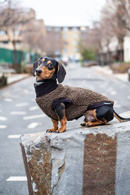 - Pet smart GPS locatorBoucle Dachshund Dog Jumper