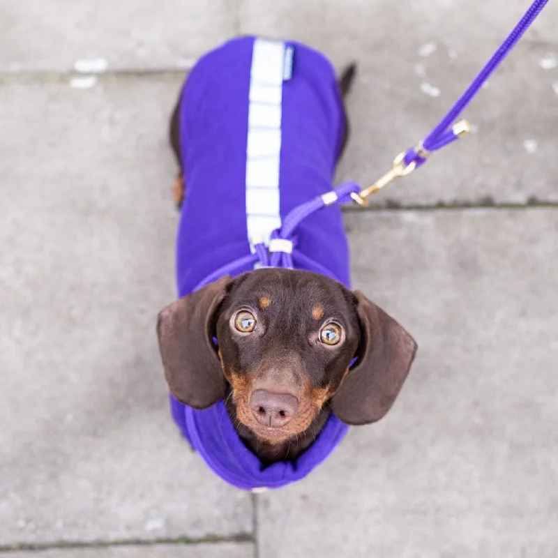 Purple & Silver Reflect