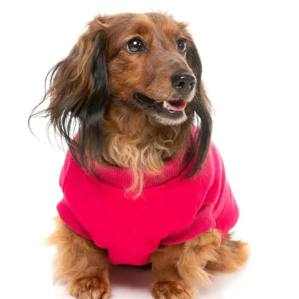 - Dog heart rate monitoring collarFuzzYard | Allday Sweater - Magenta