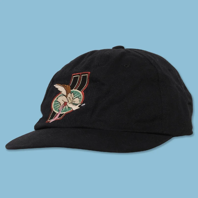 - Cat anti-jump window safety netVintage DS Wile E. Coyote Snapback