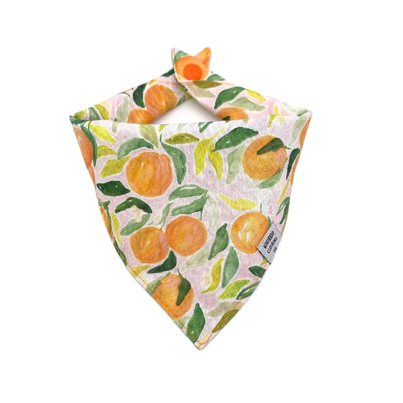 Pet cotton clothesClementine Orange Dog Bandana