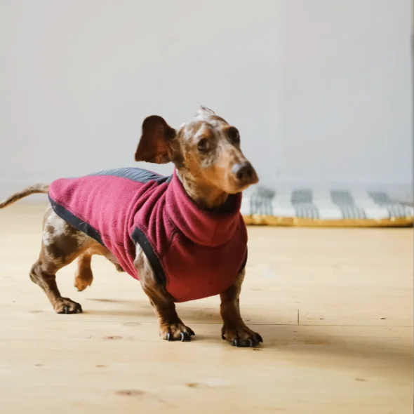 - Pet fence foldable indoorDachshund Night & Rain Fleece Jumper