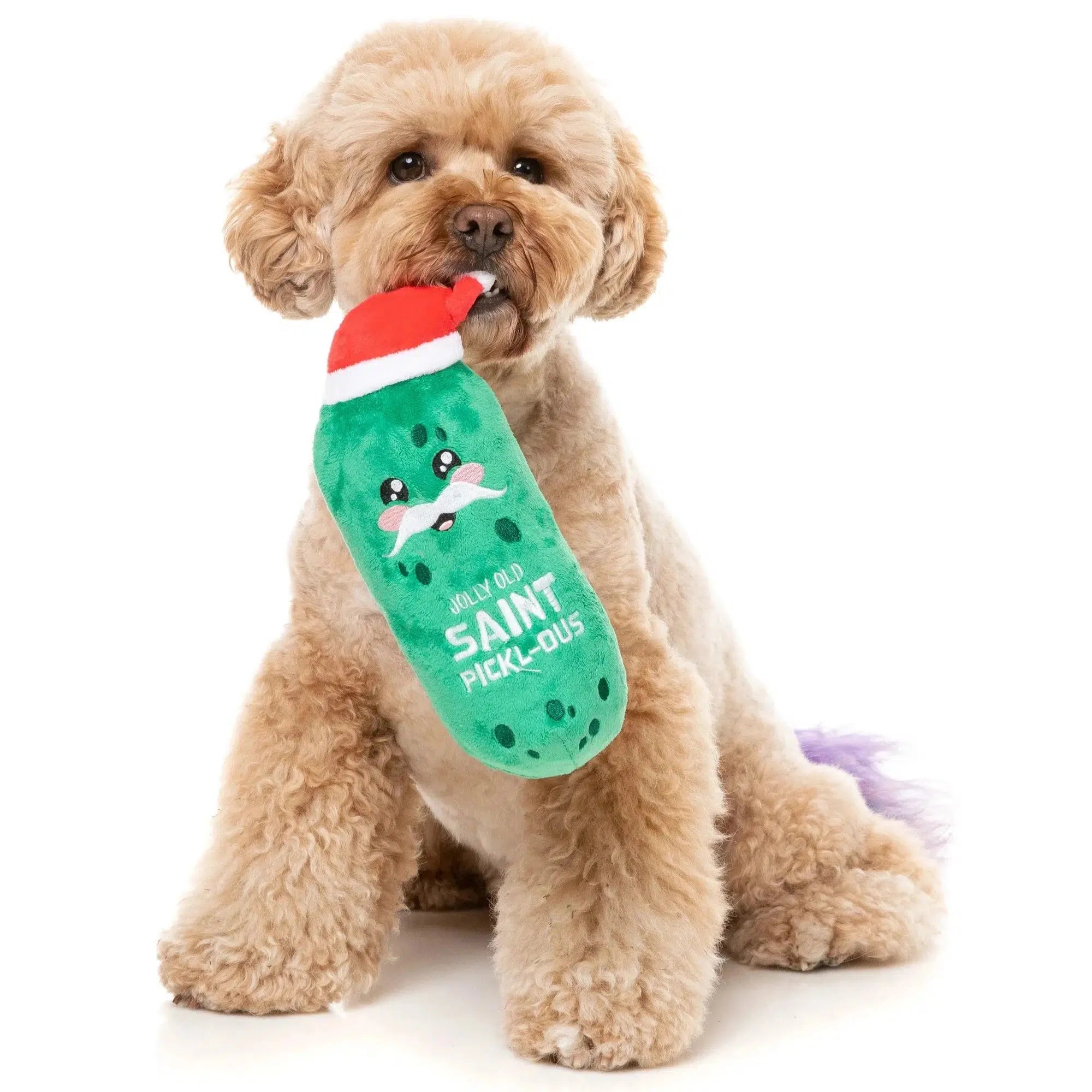 - Elderly dog ​​joint care mattressFuzzYard | Jolly Old St Pickl-ous - Christmas Dog Toy